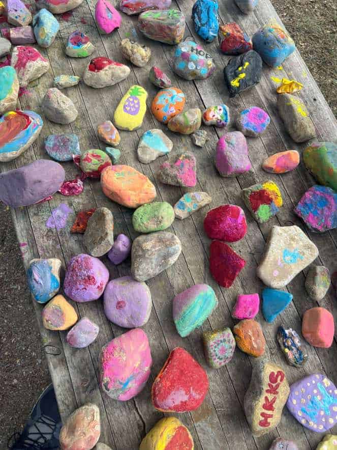 Planter box with painted rocks